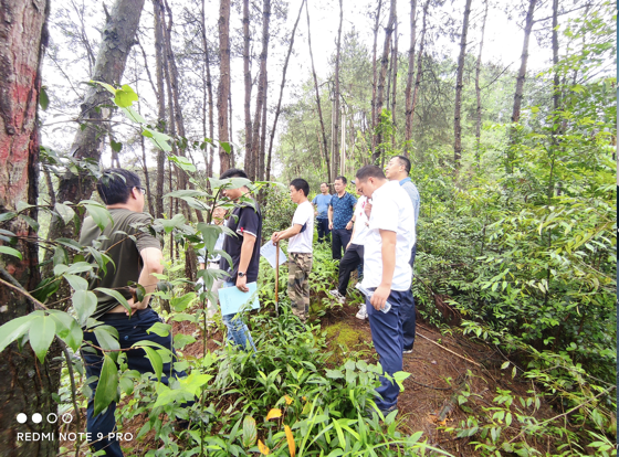 WX20210709-150658@2x.png WX20210709-150658@2x.png